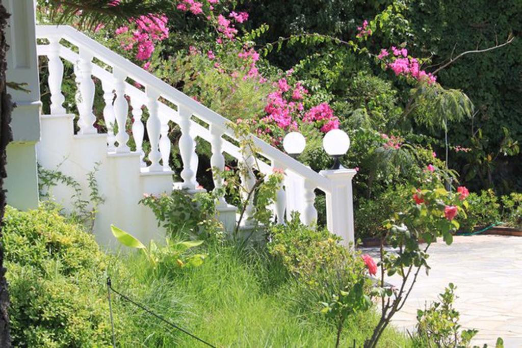 Villa Irini Almirida エクステリア 写真