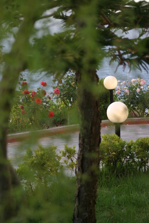 Villa Irini Almirida エクステリア 写真
